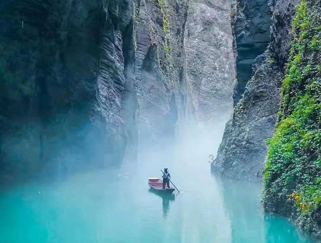 澎湃思想周报｜被极右利用的欧美农民行动；算法如何影响当代文化