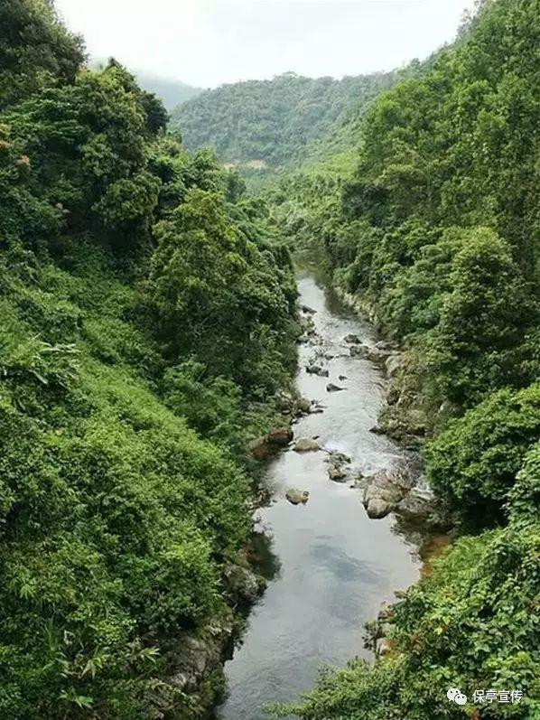 熊出没夺宝历险